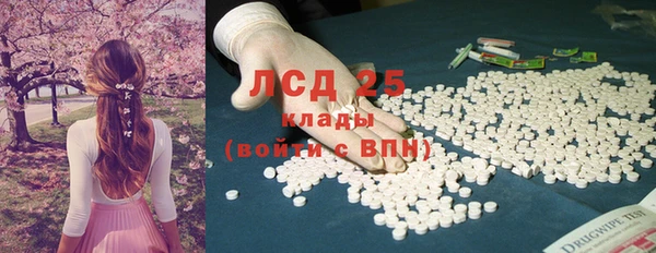 хмурый Алзамай