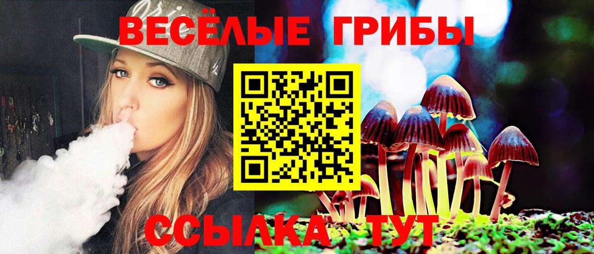 Галлюциногенные грибы ЛСД Новоалтайск