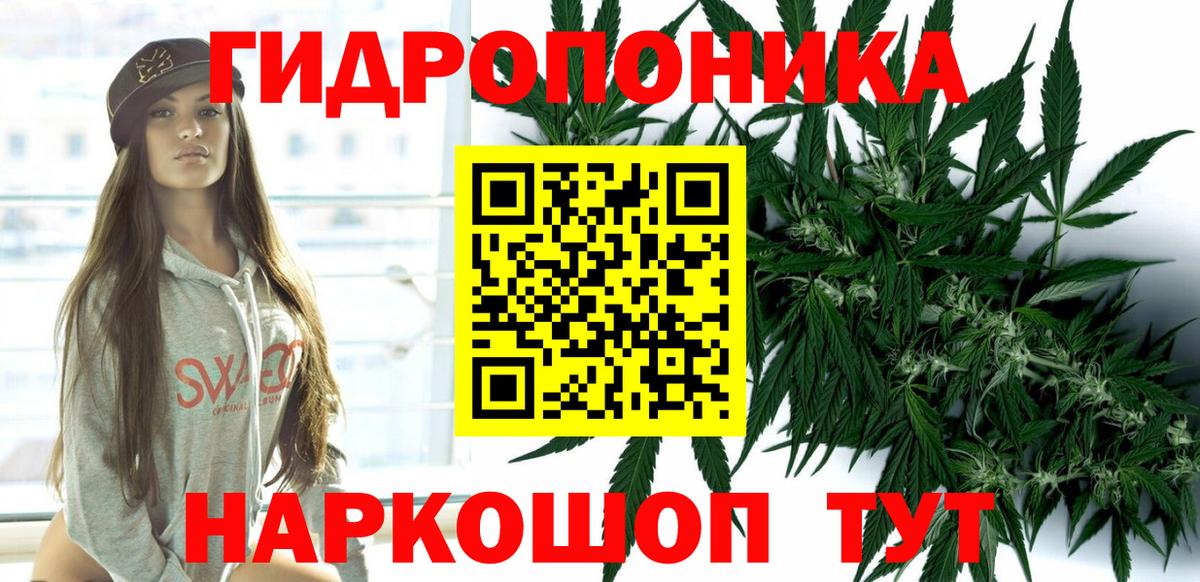Каннабис семена Новоалтайск